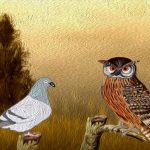 El búho y el palomo - Historias Cortas