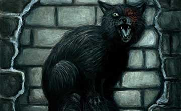 Gato negro en la pared