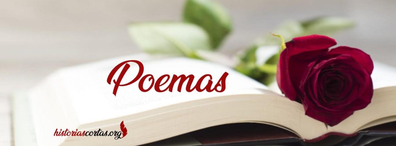 Libro con rosa Poemas - Historias Cortas