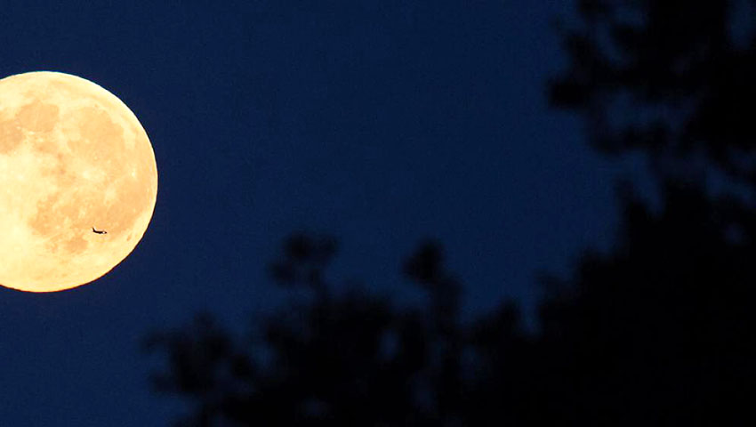Luna noche- Historias Cortas