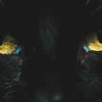 El gato negro - Historias Cortas