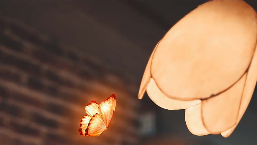 Mariposa brillante llegando a lámpara - Túmulo de la mariposa - Francisco de Quevedo - Historias Cortas